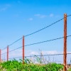 Livestock Fencing, Farm Fencing Services Abilene & Clyde, TX Harris